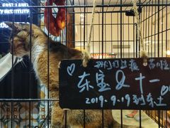 -东土食研所(渔港路店)