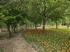 -长春公园(普阳街道)