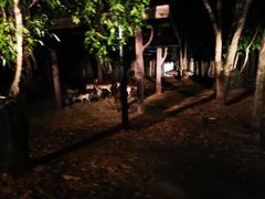 -清迈夜间动物园
