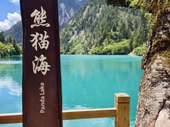 -九寨沟-树正沟