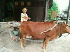 android_upload_pic-土家风情园