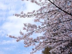 -共青国家森林公园-售票处