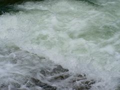 -广州白江湖森林公园