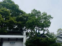 -岳麓山风景名胜区