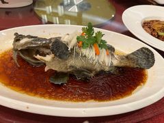 -济南喜来登酒店-采悦轩中餐厅