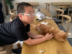 -平行世界·猫咖(首经贸店)