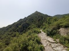 -阳台山自然风景区