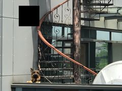 -Another Key健身(紫金店)