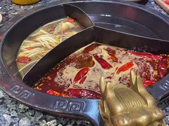 -蜀大侠火锅(森兰花园城店)