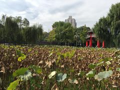 -四川大学(望江校区)
