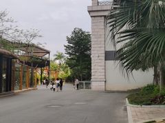 -灵玲国际马戏城