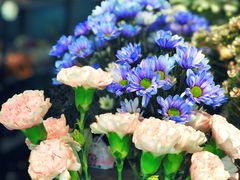 -Flower in(密渡桥店)