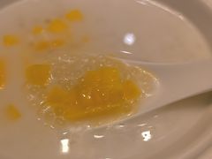 木瓜椰汁西米露-香山湖家家宴(中山陵店)