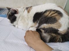 -天津前进宠物医院(前进道店)