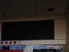 -山文星辉影城(青岛和谐广场店)