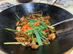 -一煲鸽