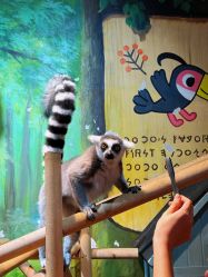 -Zoolung Zoolung动物主题公园(海信广场店)