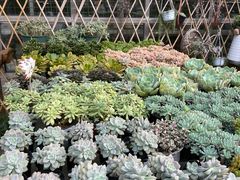 -海吉星国际农产品物流管理有限公司