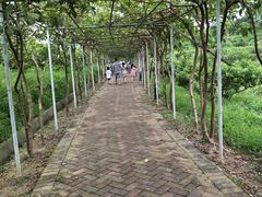 -广垦（茂名）国家热带农业公园