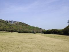 -羊山湖公园