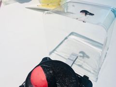 -第戎蛋糕(恒隆广场店)