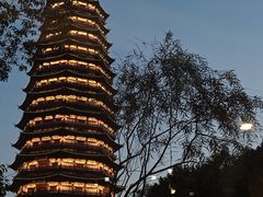 -听松楼·花园酒店·自助餐厅(红梅公园店)