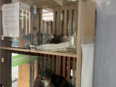 -爱侣宠医·鹦鹉专科·小型哺乳类·异宠专科(灵石路店)