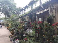 -金陵花卉交易市场