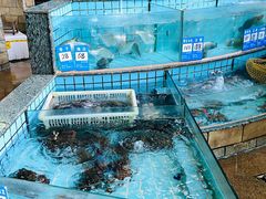 -黄埔华苑酒家(黄埔店)