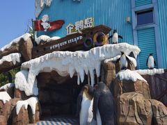 -杭州长乔极地海洋公园