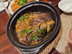 旱蒸剑骨鱼-金龙寨(解西店)