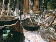 -西西里轰趴日租聚会别墅·团建拓展