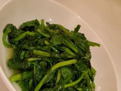 五粮液嫩豆苗-玫瑰厅上海菜(兴国路店)