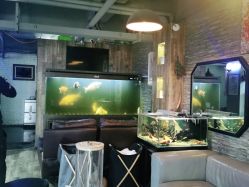 -青木造型HAIR·あおき髪を刈る潮人店