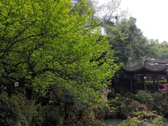 -杭州黄龙洞