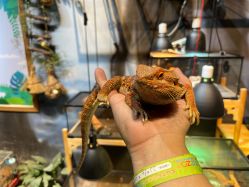 -酷嗒动物文化乐园(cutezoo西溪乐天城店)