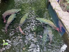 -青青世界