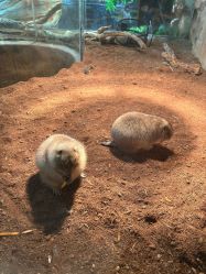 -Zoolung Zoolung动物主题公园(海信广场店)