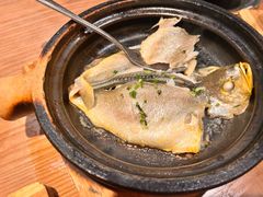 -啫火啫啫煲·顺德干蒸(西乡天虹店)