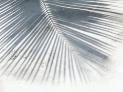 -维乐口腔医院(星海湾分院)