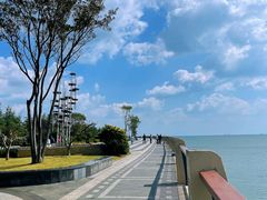 -星光岛