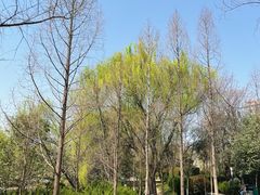 -城市运动公园(未央区)