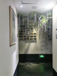 -盘子女人坊生日照·摄影馆(华强店)