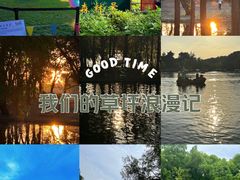 -上海共青森林公园