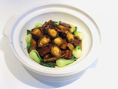 鲍鱼焖上海红烧肉-信园