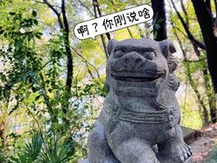 -阅江楼风景区
