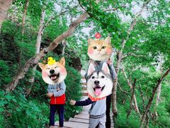 -白草畔自然风景区