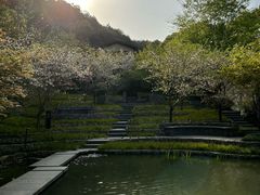 -湘湖逍遥庄园·水漾中餐厅