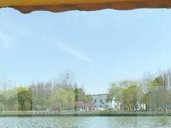 -溱湖国家湿地公园