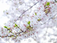 -龙美术馆(西岸馆)